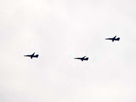 Royal Australian Air Force (RAAF) F-111