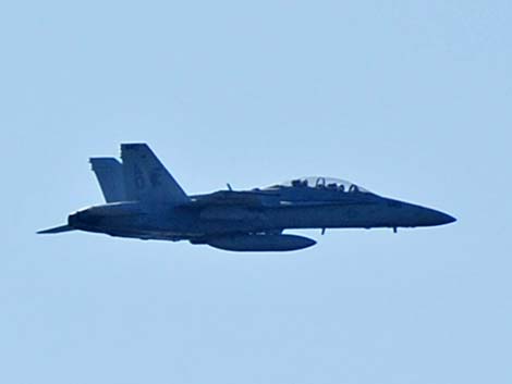 F/A-18D Hornet Jet Fighter