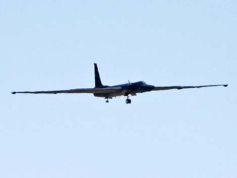 U-2S 087