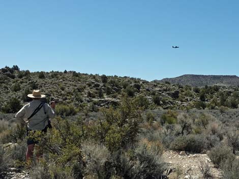 Basin and Range National Monument