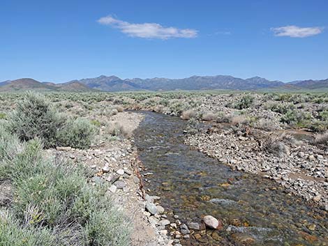 Basin and Range National Monument