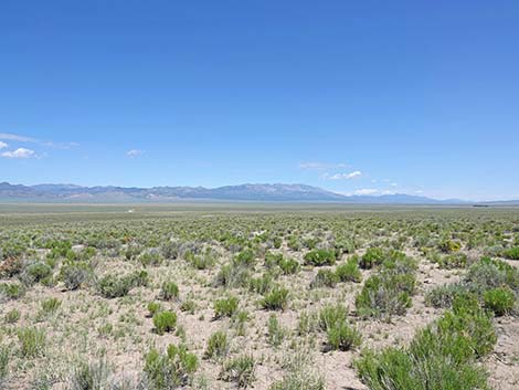 Basin and Range National Monument