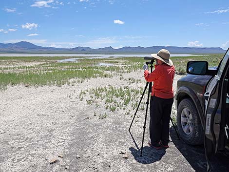 Basin and Range National Monument