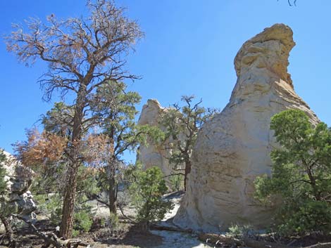 Basin and Range National Monument