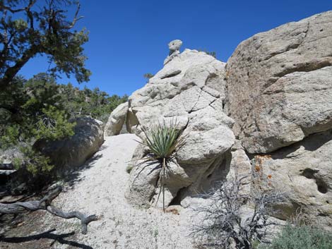 Basin and Range National Monument