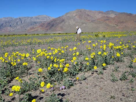 Death Valley National Park