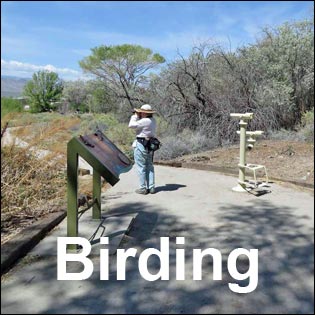 Desert National Wildlife Range