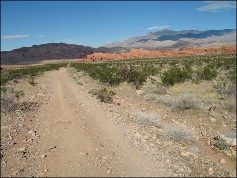 Gold Butte National Monument