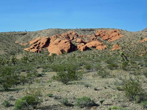 Gold Butte National Monument