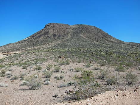 Lake Mead National Recreation Area