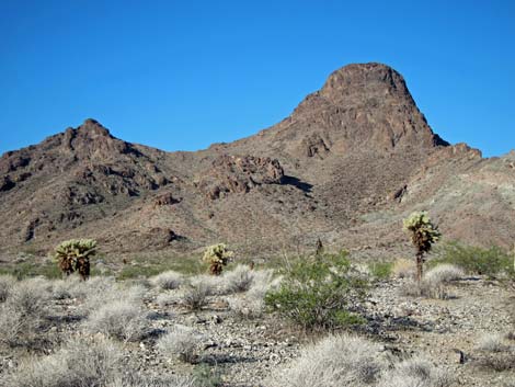 Lake Mead National Recreation Area