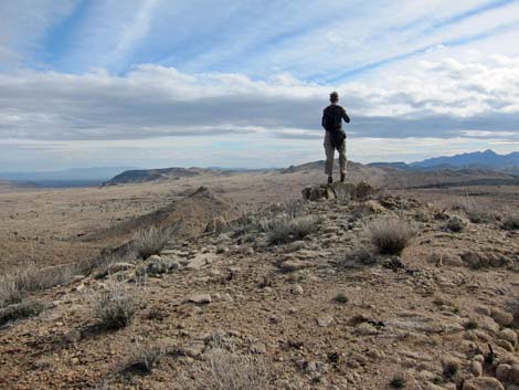 Mojave National Preserve