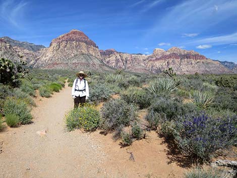 Red Rock Canyon National Conservation Area