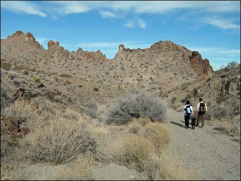 Sloan Canyon National Conservation Area