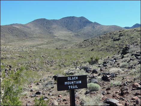 Sloan Canyon National Conservation Area