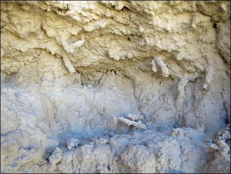 Tule Springs National Monument