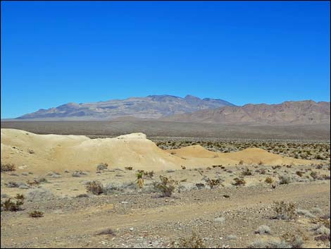 Tule Springs National Monument