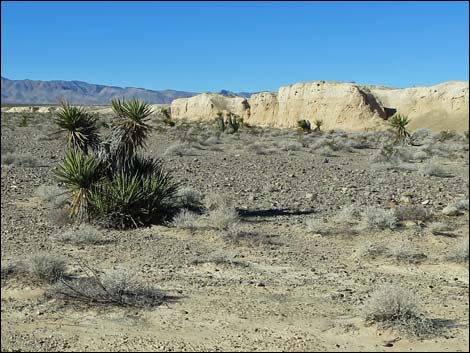 Tule Springs National Monument