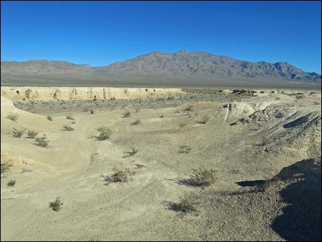 Tule Springs National Monument