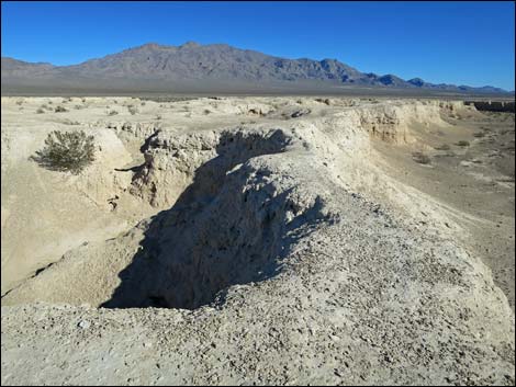 Tule Springs National Monument