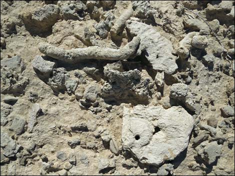 Tule Springs National Monument