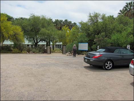 Hassayampa River Preserve