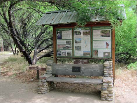 Hassayampa River Preserve