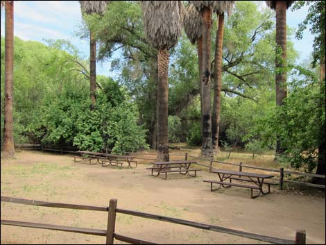 Hassayampa River Preserve