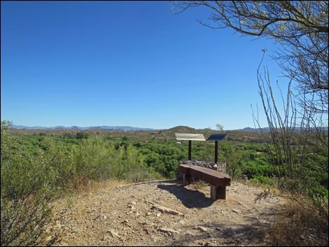 Hassayampa River Preserve