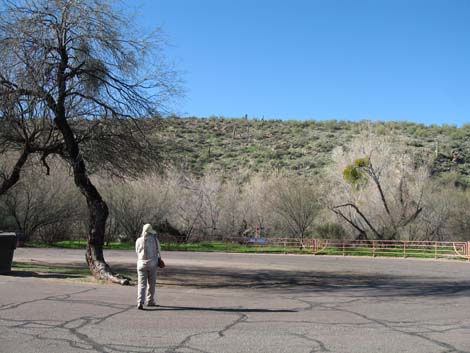 Hassayampa Roadside Rest Area