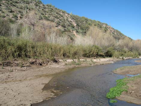 Hassayampa Roadside Rest Area