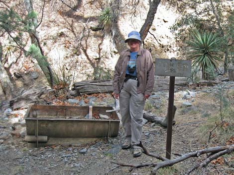 Madera Canyon, Santa Rita Mountains, Arizona