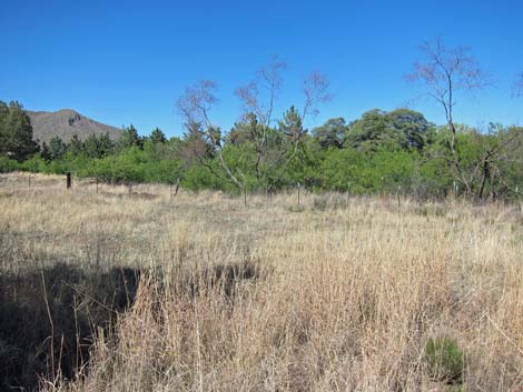 Cave Creek Ranch