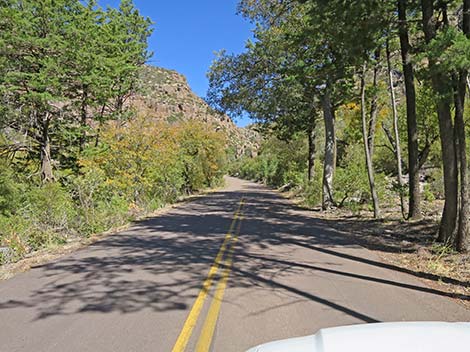 Chiricahua National Monument