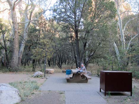 Sunny Flat Campground