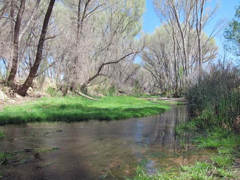 San Pedro Riparian NCA