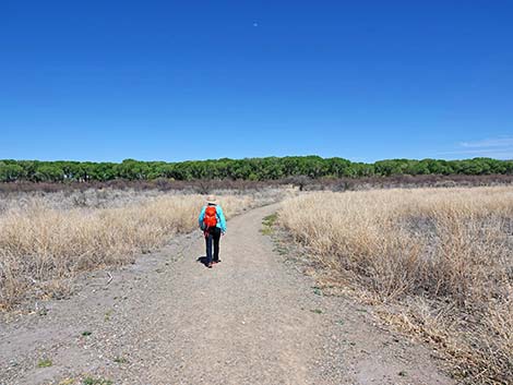 San Pedro Riparian NCA