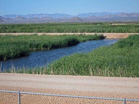 Sierra Vista Environmental Operation Park