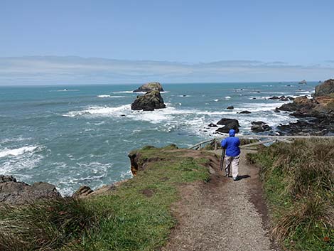 elk head beach