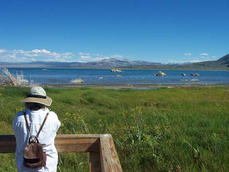 Mono Lake Tufa Reserve