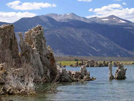 Mono Lake