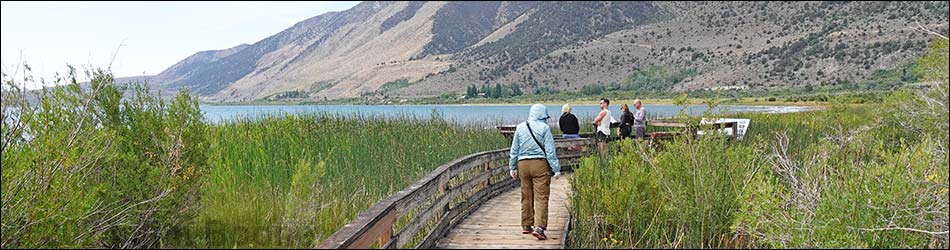 State Natural Reserve Boardwalk Trail