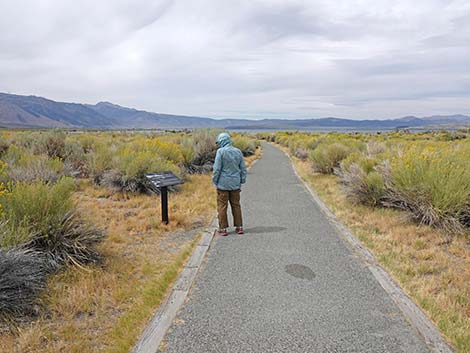 South Tufa Towers Trail