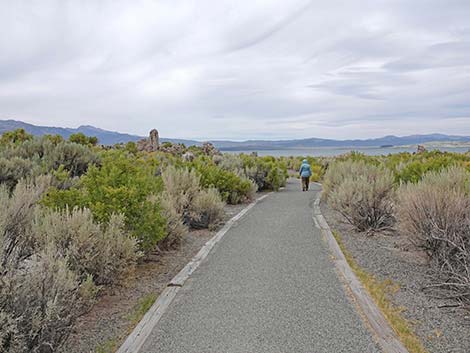 South Tufa Towers Trail