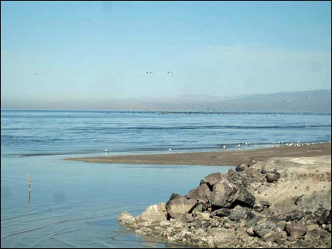 Salton Sea