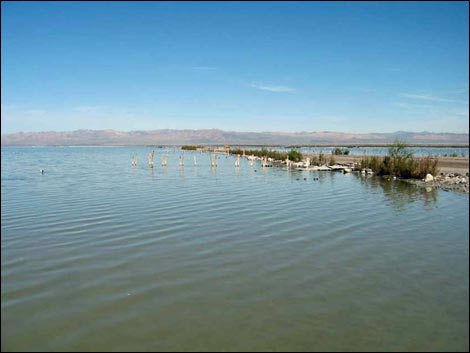 Salton Sea