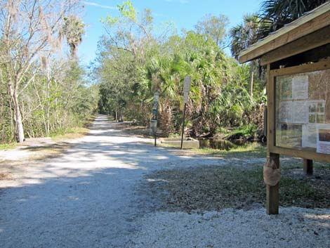 Hammock Park