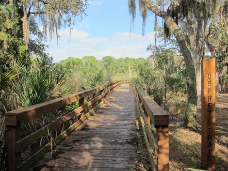 Hammock Park