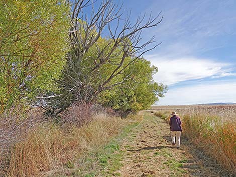 Malheur National Wildlife Refuge