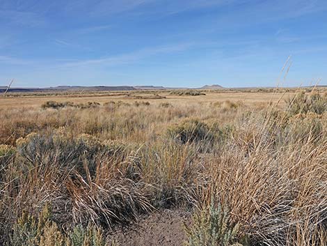 Malheur National Wildlife Refuge